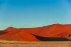 Red Sand dunes against a bright blue sky in the Sossusvlei Namib Desert-Namibia Art Print